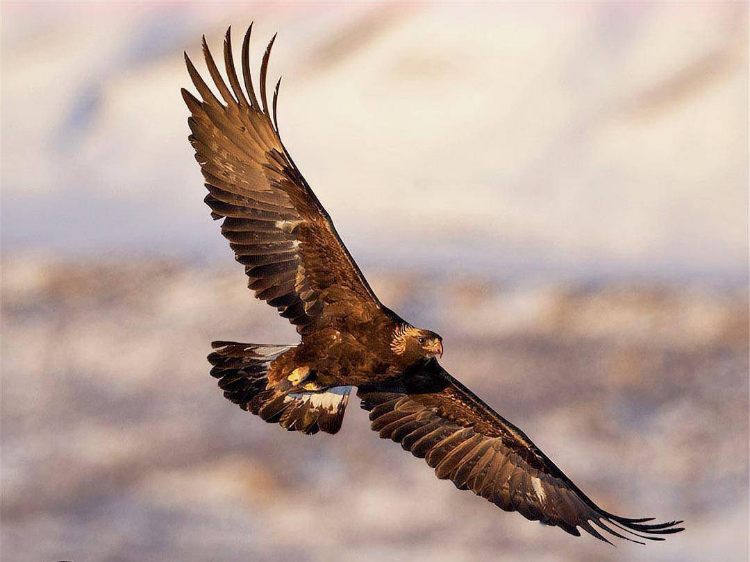 三湘金雕队对阵岭北雷霆队，摩托车赛预选赛守住胜果，细节决定成败——关键战拿下信心的简单介绍